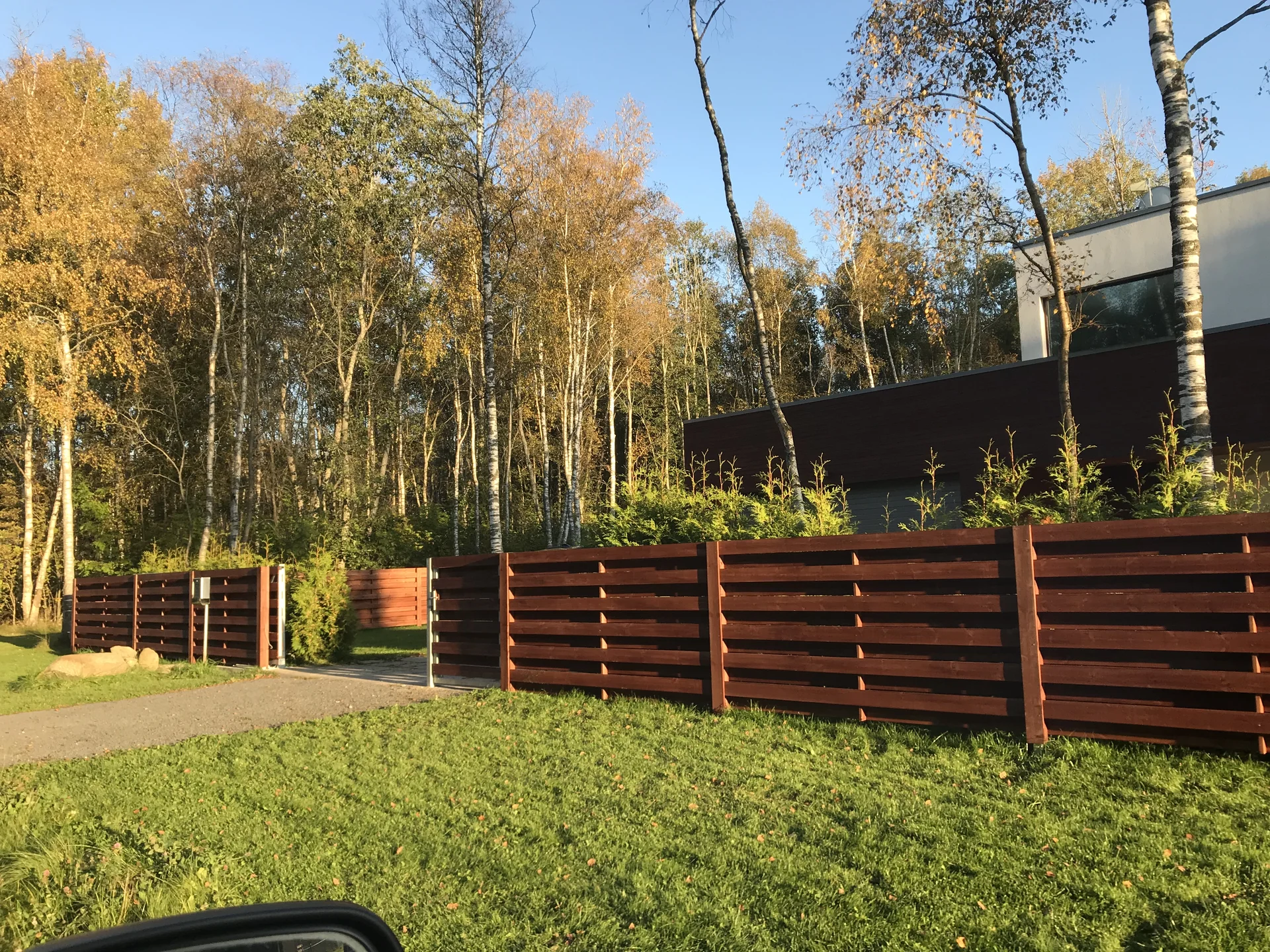 Horisontaalne puitaed