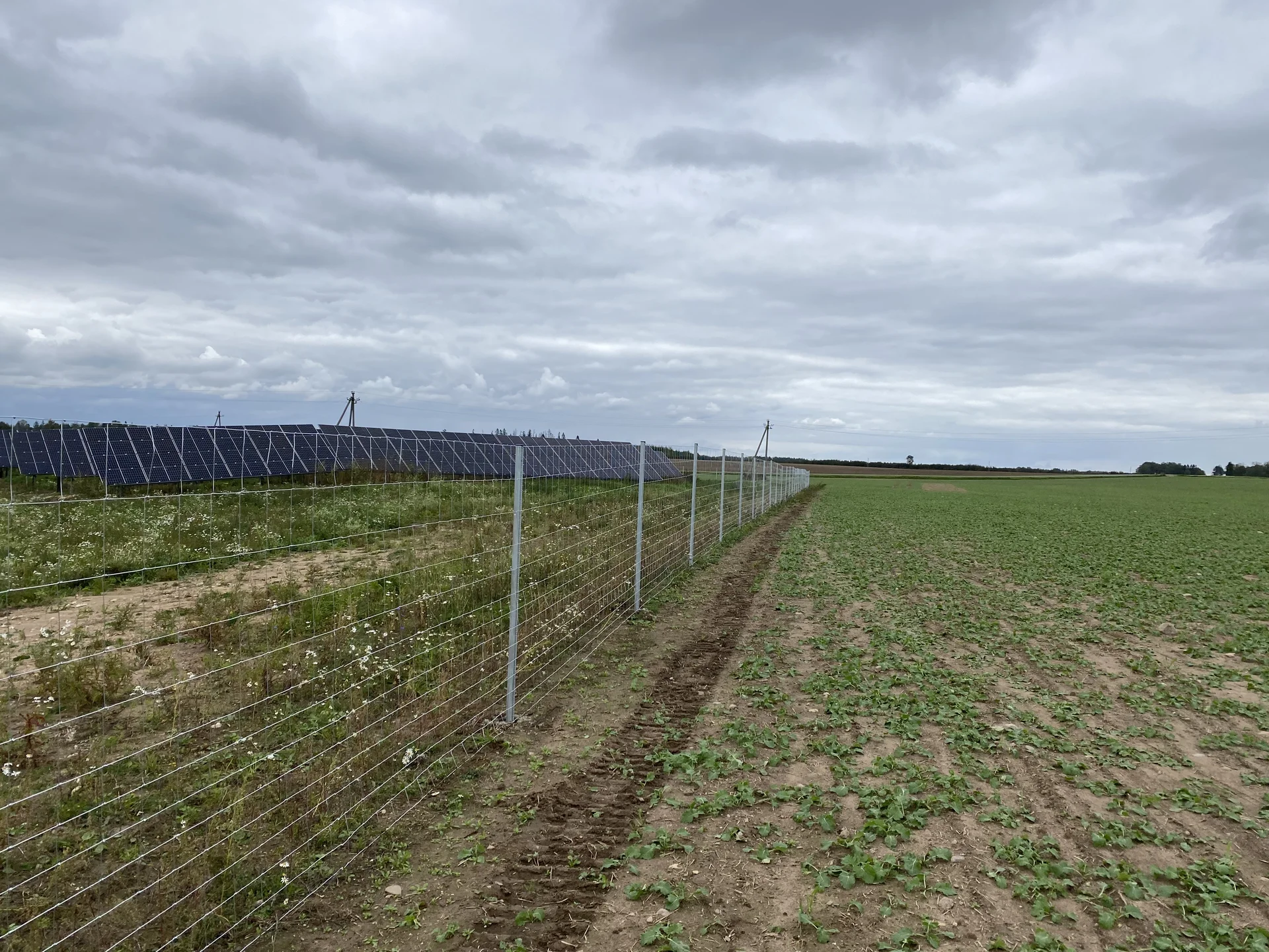 Traataed päikesepargi ümber