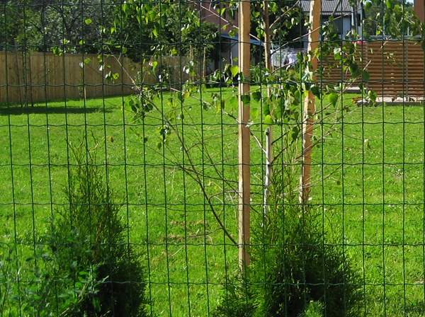 Keevisvõrk 50x100 paigaldus objektil